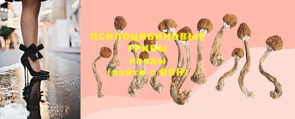 круглые Абаза